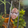 Front View of Oval Cut Lab Grown Pink Diamond​


