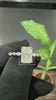 Video of 3 Carat Radiant Cut Diamond Ring